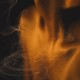                          Parfumuotas vanduo "CUIR DE  NUIT" 